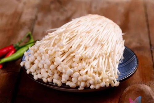 Loại nấm đốt cháy mỡ thừa, ngăn ngừa tiểu đường cực nhạy, chợ Việt bán nhiều