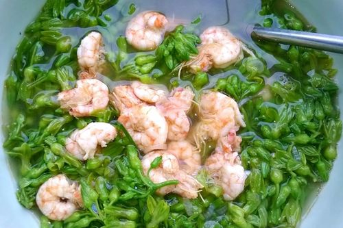 Cách nấu canh hoa thiên lý với tôm đơn giản