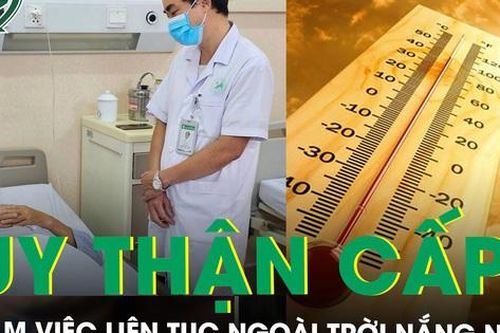 Làm việc liên tục ngoài trời nắng, người đàn ông suy thận cấp do mất nước, chuyên gia cảnh báo