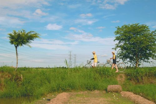 Hiệu sách độc lập làm gì để có vị trí riêng trong lòng độc giả?