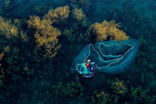 Mùa rong mơ, biển Nhơn Hải khoác lớp áo mới như trong cổ tích