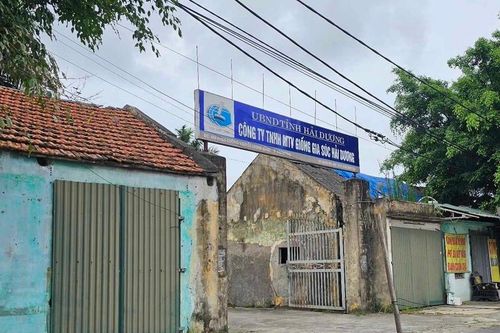Công ty giống gia súc Hải Dương chỉ còn 1 lao động, bị kiến nghị giải thể