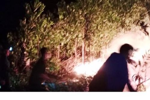 Cháy rừng ở Hà Tĩnh trong đêm, hàng trăm người tham gia dập lửa