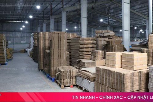 Vietpacking và giải pháp bao bì đóng gói thân thiện môi trường