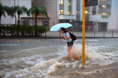 Cuộc khủng hoảng thoát nước đô thị trên toàn thế giới
