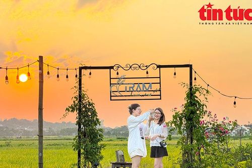 Quán cà phê giữa cánh đồng lúa ở ngoại ô Hà Nội dịp cuối tuần