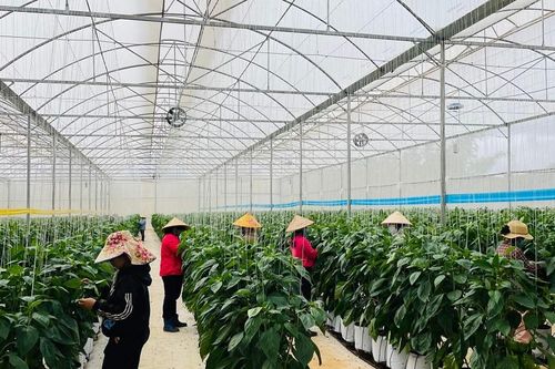 Hỗ trợ doanh nghiệp tiếp cận nguồn tài chính xanh