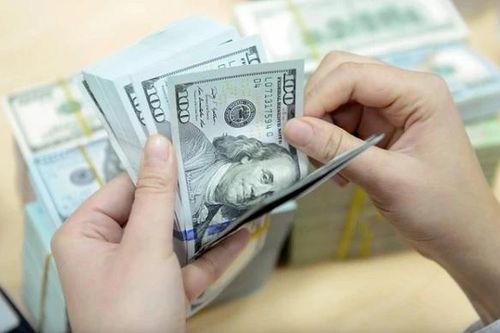 Mỹ khẳng định Việt Nam không thao túng tiền tệ