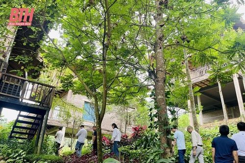 Du khách đổ về các điểm du lịch sinh thái cộng đồng để 'trốn nóng'