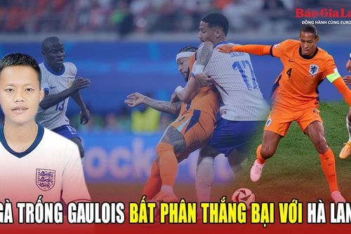 Gà trống Gaulois bất phân thắng bại với Hà Lan