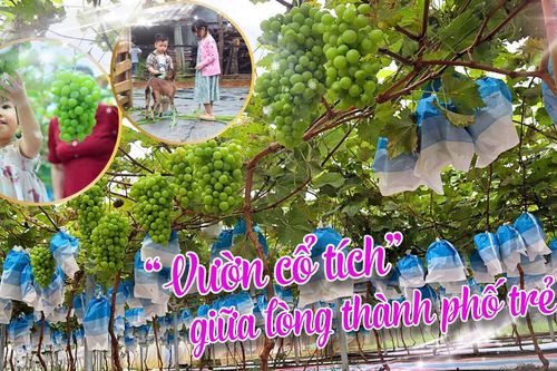 'Vườn cổ tích' giữa lòng thành phố trẻ