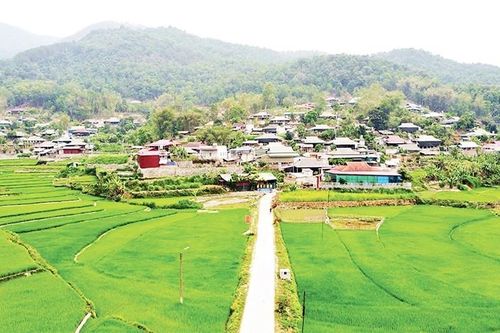 Ngát xanh Mường Báng