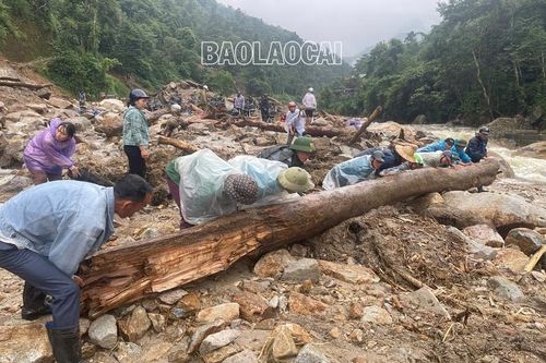 Tăng cường thực hiện công tác phòng tránh, ứng phó thiên tai và tìm kiếm cứu nạn trên địa bàn tỉnh