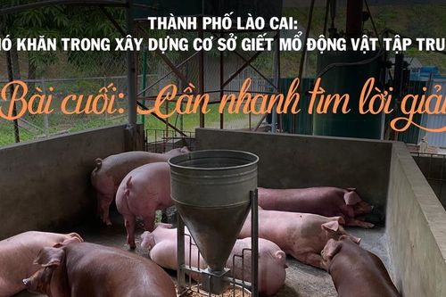 Bài cuối: Cần nhanh tìm lời giải