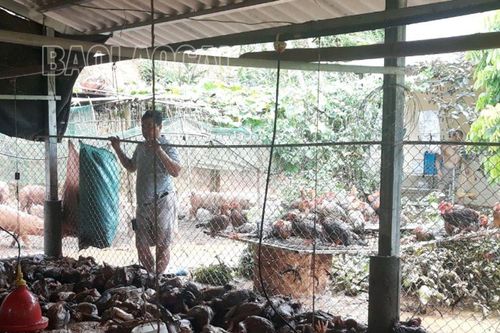 Xuân Quang (Bảo Thắng): Mưa lũ gây nhiều thiệt hại