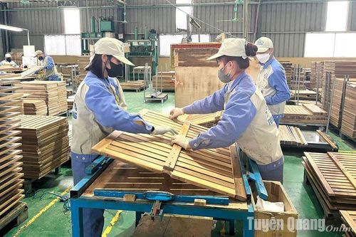 Toàn tỉnh tạo việc làm mới cho 16.875 lao động