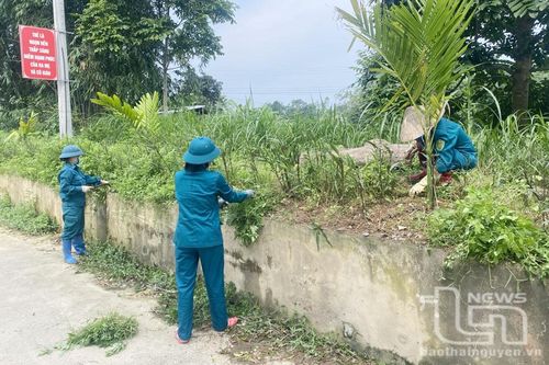 Đơn vị tiêu biểu trong Thi đua quyết thắng