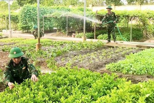 Đảm bảo nguồn thực phẩm sạch