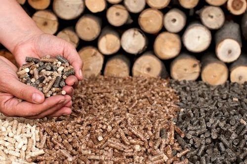 Quảng Trị sắp có nhà máy sản xuất viên nén năng lượng trị giá 186 tỷ đồng