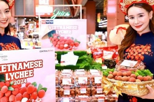 Đặc sản vải thiều chính vụ của Việt Nam tiếp tục được đưa tới người tiêu dùng Thái