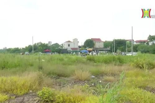 Chưa thống nhất quản lý hoạt động tư vấn, định giá đất