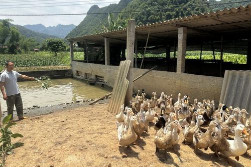 Hà Quảng tổng nguồn Quỹ Hỗ trợ nông dân quản lý hơn 10,4 tỷ đồng