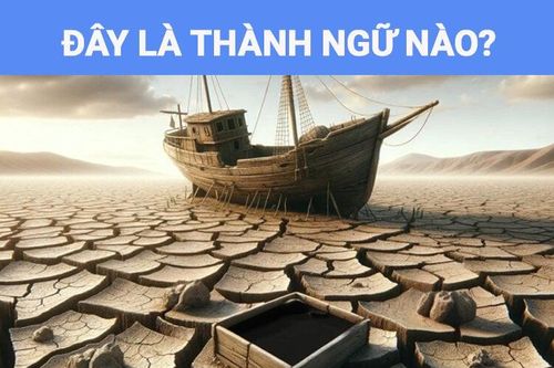 10 người thì 9 người đoán sai: Đây là câu thành ngữ nào?