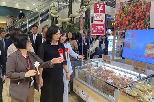 Đang diễn ra Tuần hàng Việt Nam tại Aeon Nhật Bản