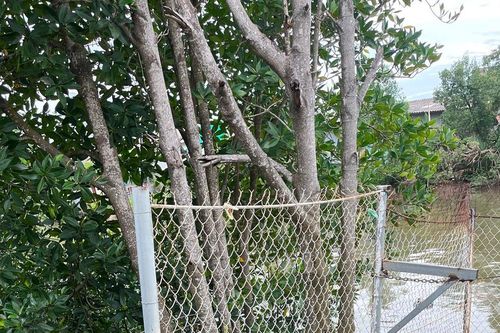 Khẩn trương khắc phục sạt lở bờ sông ở Bạc Liêu