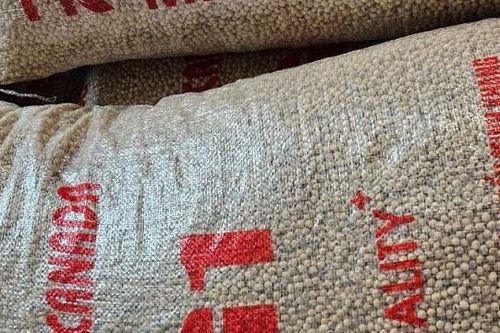 Chuyển công an vụ cơ sở sản xuất, buôn bán đậu tương giả ở Hà Nội