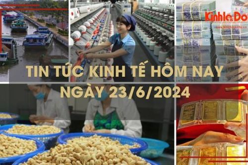 Tin tức kinh tế ngày 23/6/2024: thị trường Anh tăng mua hạt điều từ Việt Nam
