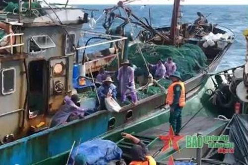 Lực lượng vũ trang Quân khu 4: Huấn luyện thuần thục, sẵn sàng cứu hộ