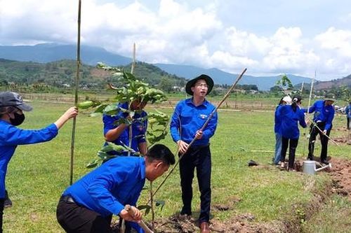 Tuổi trẻ Đắk Lắk bảo vệ môi trường