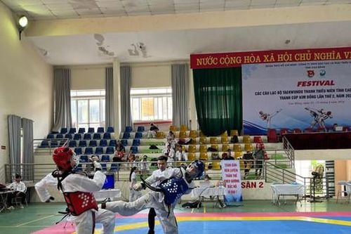 Sôi nổi Festival các câu lạc bộ Taekwondo thanh thiếu niên tỉnh Cao Bằng mở rộng