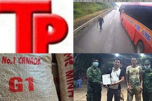 Bản tin Hình sự: Nhóm người sinh hoạt Hội thánh Đức chúa trời mẹ đưa cả trẻ em theo