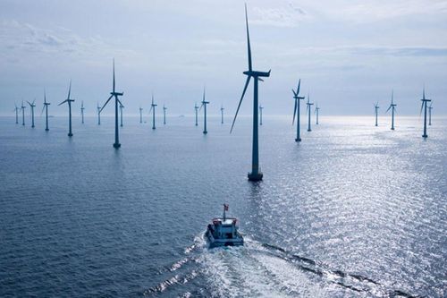 TotalEnergies và EnBW thắng thầu dự án điện gió lớn ngoài khơi nước Đức