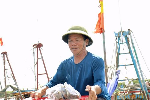 Ngư dân Nghệ An bám biển thu về hơn 2 nghìn tỷ đồng