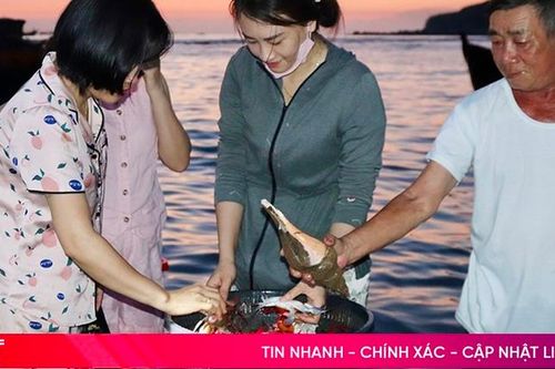 Ngư dân Hà Tĩnh đánh bắt nhiều hải sản giá trị