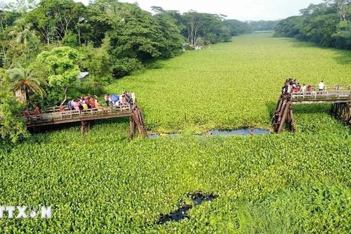 Sập cầu tại Bangladesh, khiến ít nhất gần 20 người thương vong