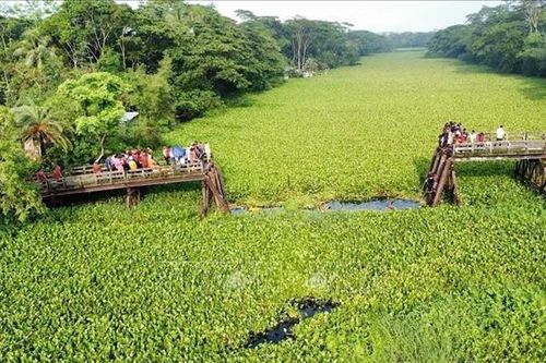 Sập cầu tại Bangladesh khiến ít nhất 19 người thương vong