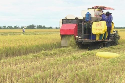 Cụ thể hóa Chương trình hành động năm 2024 đạt nhiều kết quả thiết thực