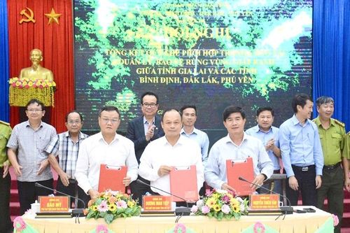 Hợp sức bảo vệ rừng vùng giáp ranh