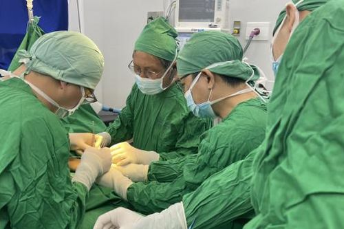 Gần 100 chuyên gia, bác sĩ tham gia hội thảo giảm thiểu nguy cơ trật khớp sau phẫu thuật thay khớp háng toàn phần
