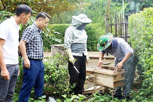 Bài 1: Vươn lên thoát nghèo