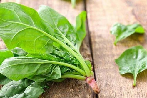 Ăn một mớ rau này tốt ngang nhân sâm, giá rẻ như cho