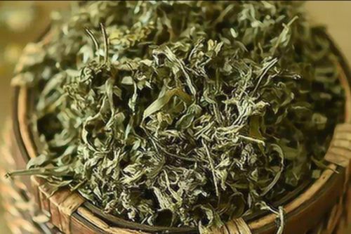 Lá ngải cứu phơi khô có những công dụng tuyệt vời gì?