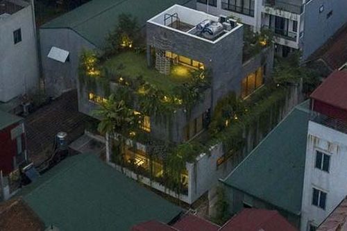 Cách biến nhà phố thành công viên thu nhỏ