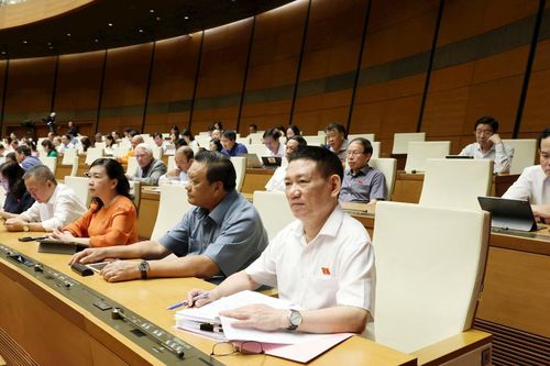 Ngăn chặn mua bán thai nhi trong bụng mẹ