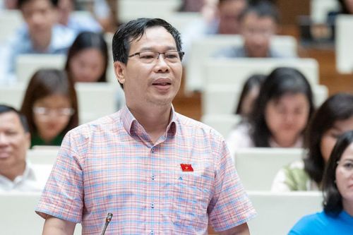 ĐBQH: Rà soát các thủ đoạn phạm tội 'mua bán người', tránh bỏ lọt tội phạm