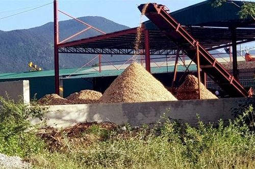 Thanh Hóa: Công ty Mai Anh 88 liên tiếp nhận 3 quyết định xử phạt